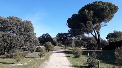 Un hombre de 70 años se quita la vida en Majadahonda disparándose con una escopeta en el Parque del Reventón