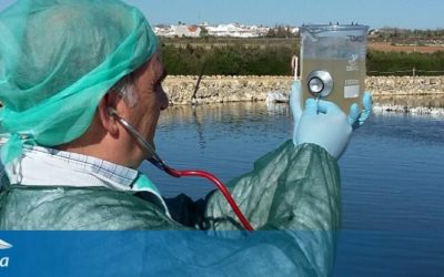 Canal de Isabel II anima a beber agua del grifo en Majadahonda y Oeste pese a su «mal sabor y olor» por la aparición de algas