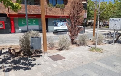 Residentes de Plaza Pizarro y Boulevar Cervantes recurren a «Vecinos por Majadahonda» para denunciar falta de riego, suciedad y ruido