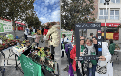 Elsa Campano (Educación Pública Majadahonda): «Naturalizar los centros escolares: una prioridad ineludible»