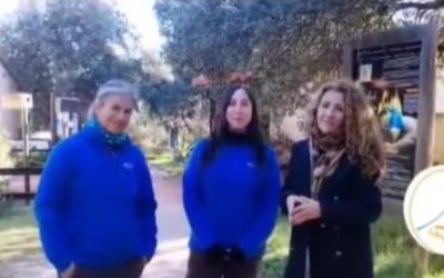 GREFA Majadahonda organiza «la Magia de la Navidad» con un Taller y el cuento «Colibrí»