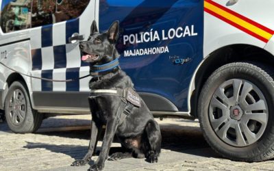 La policía de Majadahonda detiene “in fraganti” a 2 ladrones de coches pero imputa a un joven como “traficante” cuando la jueza tiene dudas si era solo consumidor 