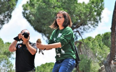 GREFA superó por tercer año consecutivo los 7.000 animales atendidos en su hospital de fauna en Majadahonda