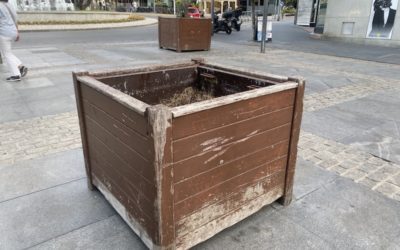 Jardinería en Majadahonda (Ayuntamiento): «Inquina a la vegetación»