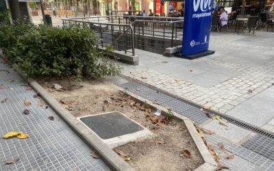 Los parterres de la Gran Vía de Majadahonda: «un asco, una verdadera porquería, un desastre, sin cuidar, sin plantas o muy crecidas y sin apenas flores»