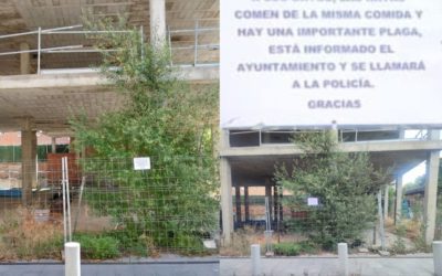 Edificio del Bulevar Cervantes (Majadahonda): un «barco abandonado» y una reflexión sobre los gatos y las ratas