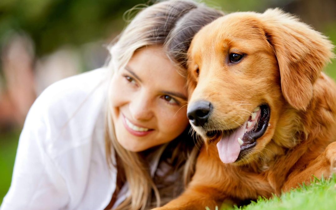 Superar el Estrés Laboral y Vivir de la Pasión por los Animales