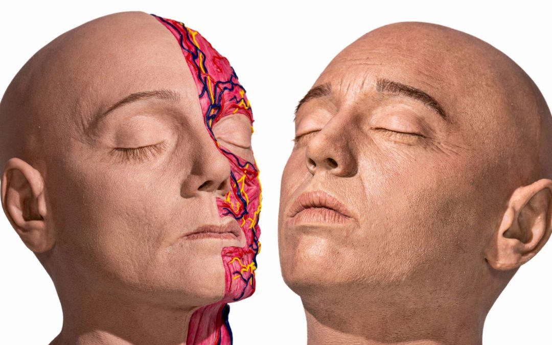 REALMED SIMULATORS, la compañía que está revolucionando la formación en medicina estética