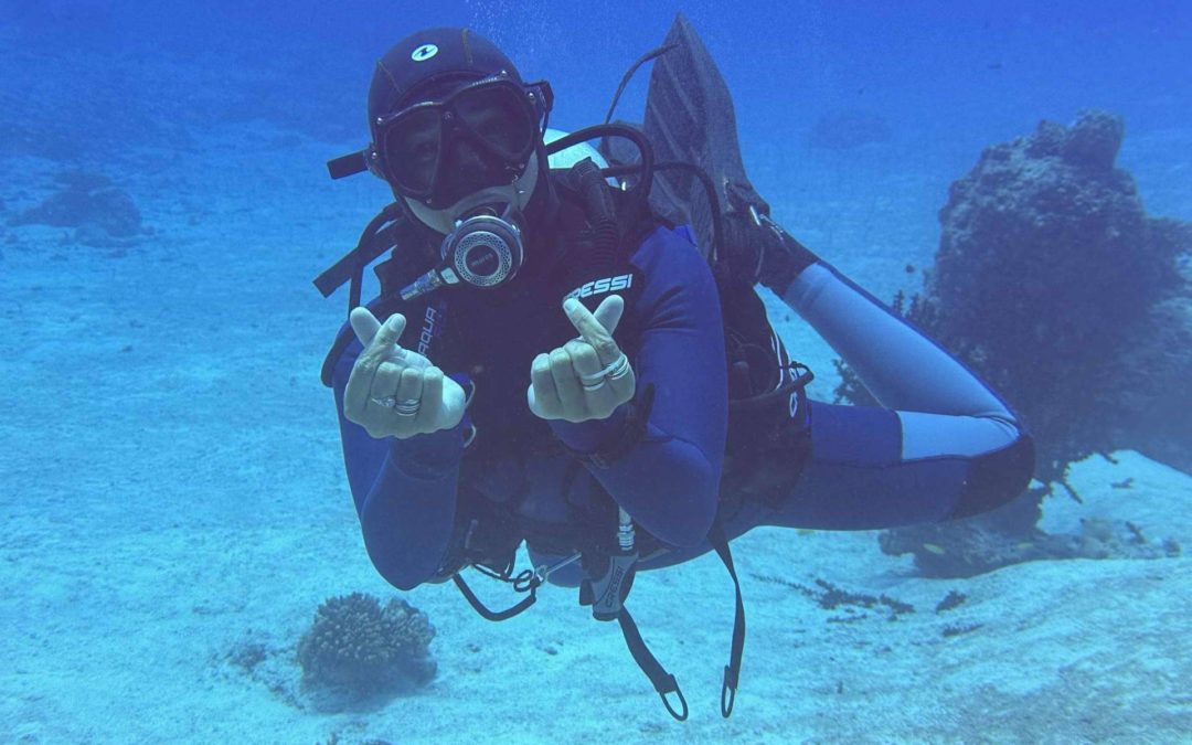 Descubrimiento de fauna marina con las excursiones de submarinismo de Drop Dive Maldives