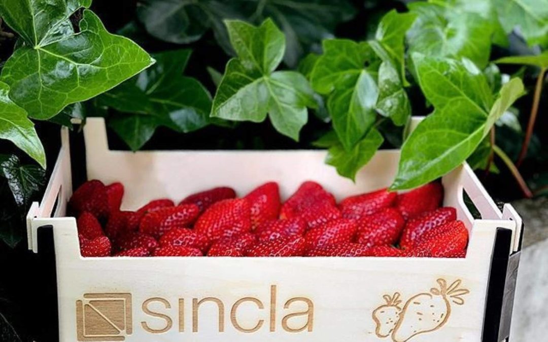 Sincla destaca en diseño y calidad con sus cajas de madera para fruta y verdura