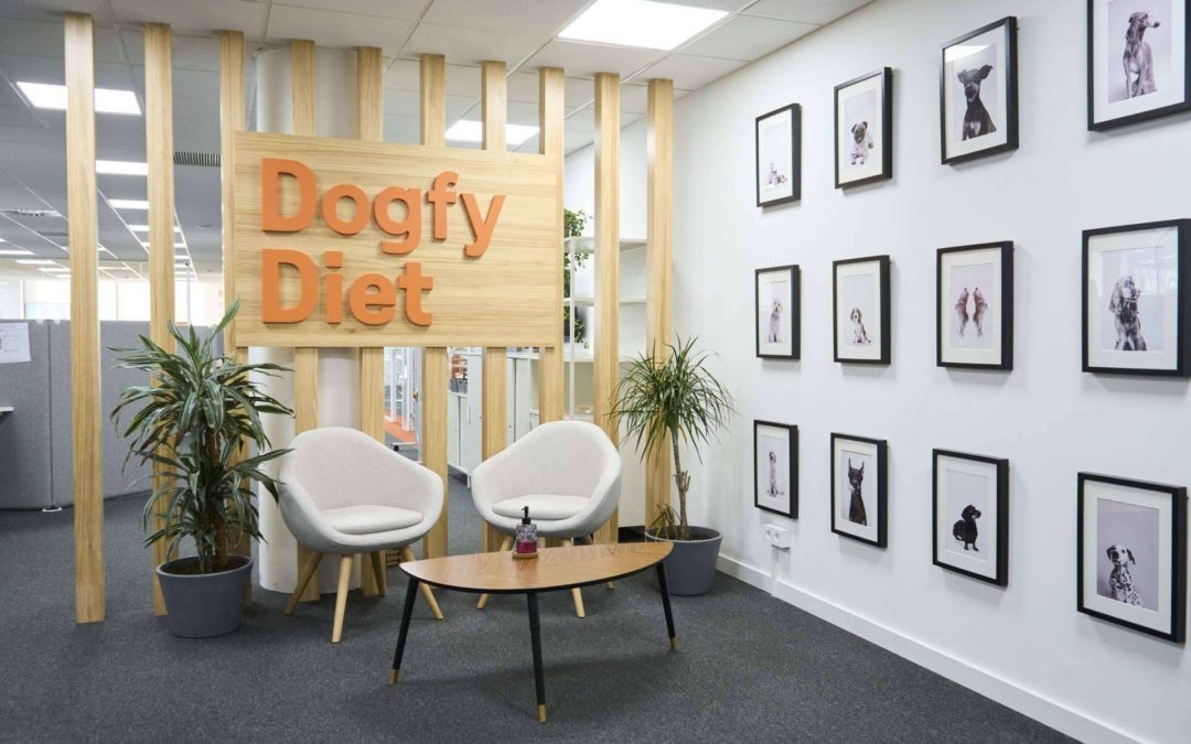 3 datos desconocidos sobre Dogfy Diet y su comida casera para perros