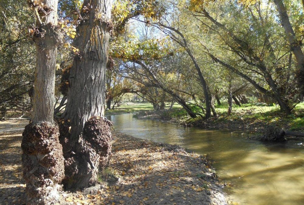 El Río Guadarrama a su paso por Majadahonda, Las Rozas, Galapagar: «la Gran Cloaca”