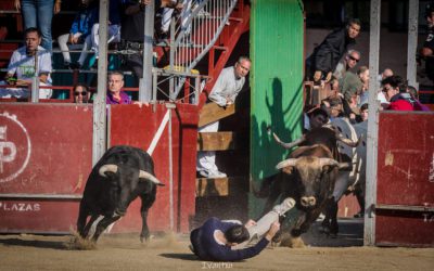 Balance gráfico y crítico de las Fiestas de Majadahonda 2024: las mejores fotos de Iván Marcos «Ivantxu»