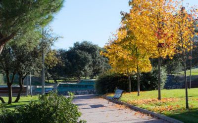 El Rincón de Pensar: Otoño en Majadahonda, efemérides y adivinanzas con una historia sobre la corbata