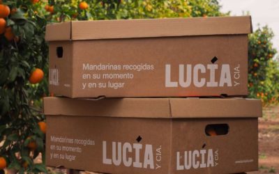 La fruta ideal para atletas; aguacates, mandarinas y naranjas directos del huerto en 24 horas