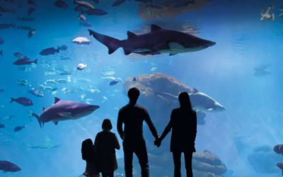 Palma Aquarium celebra su fiesta solidaria ‘Yo También’ a favor de la Fundación Respiralia