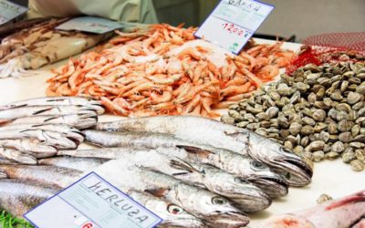 Frescura y calidad en pescados y mariscos, el compromiso de Pescadería Younes Ceuta