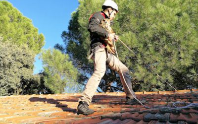 El Hospital de Grefa salvó durante 2024 en Majadahonda 6.457 aves, mamíferos y reptiles