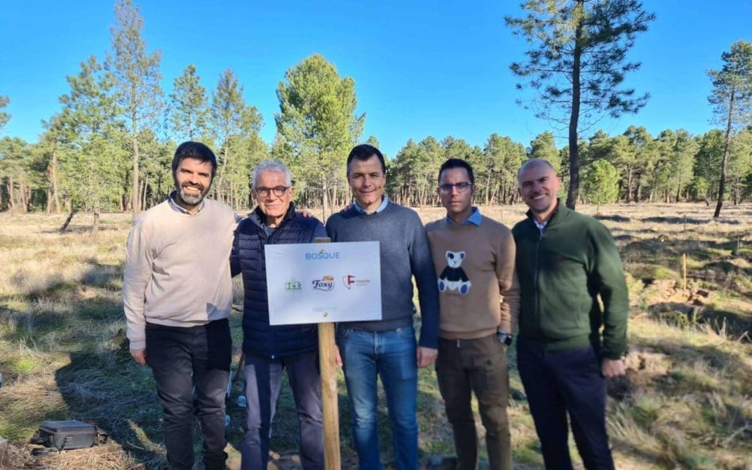 La iniciativa 'Juega tu papel' llega a Segovia - Majadahonda Magazin