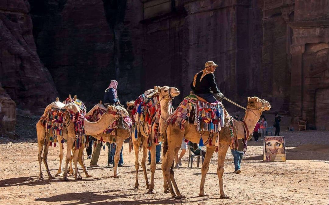Nace el primer curso sobre turismo responsable con los animales para profesionales del sector