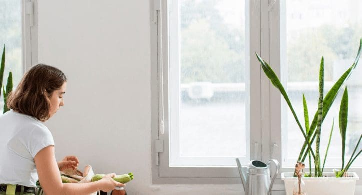 La importancia de elegir ventanas de calidad en Madrid