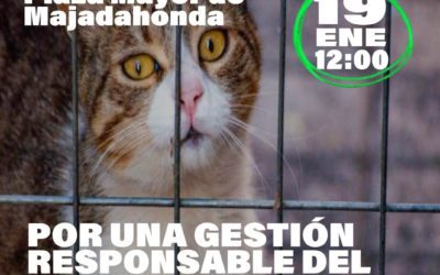 Concentración en el Ayuntamiento de Majadahonda tras denegar una reunión para paliar el frío de gatos y perros