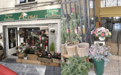 “Flores & Plantas Acebal”, una «eterna primavera» en Majadahonda frente a la Galería Sanabria