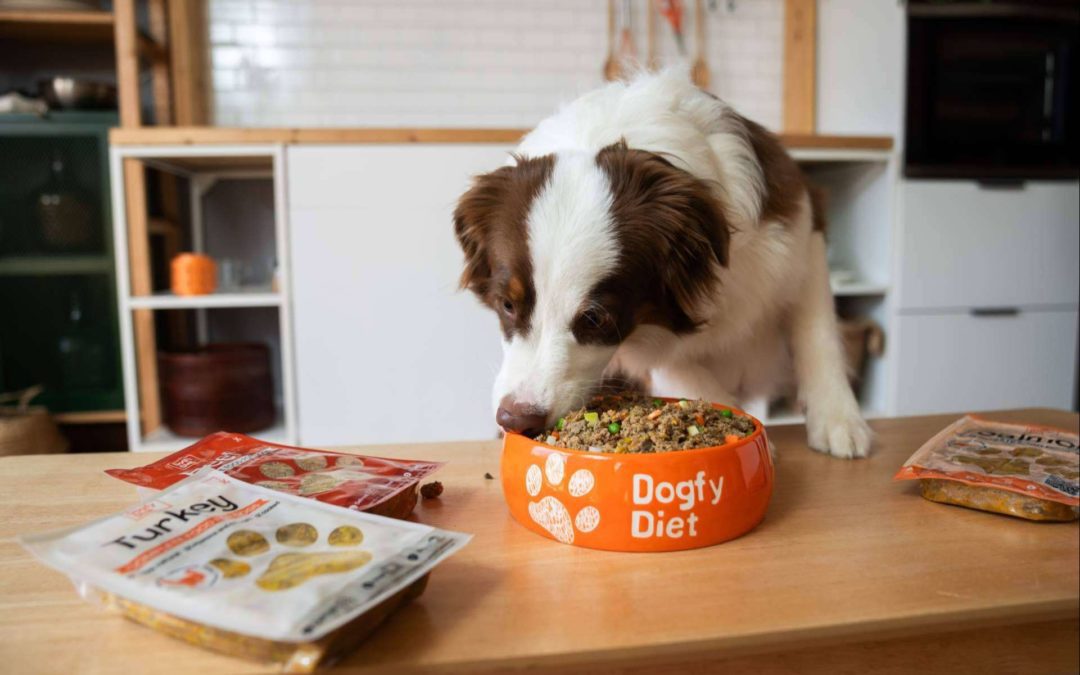 Dogfy Diet lidera la transformación hacia dietas naturales, sostenibles y personalizadas para perros