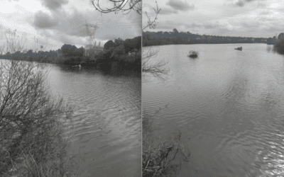 Visitas majariegas: el pantano de Molino de la Hoz y responsabilidades de Las Rozas, Galapagar y la Confederación Hidrográfica del Tajo