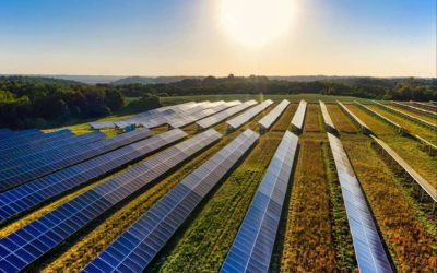 Aleasoft; Descenso de precios y energía solar récord marcan primera semana de marzo en mercados europeos