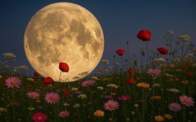La «Luna de las Flores» ilumina la noche del lunes en Majadahonda