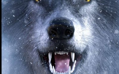 Historias con lobos como espejo del alma, la nueva propuesta literaria de Diego de Membiela