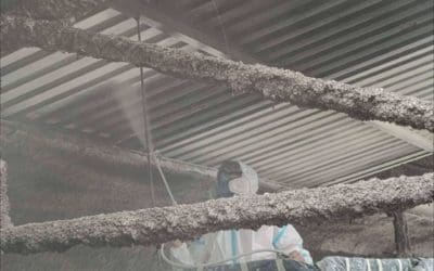 Aplicación de pintura industrial en grandes superficies con garantía técnica de Serviarnau
