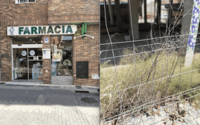 Naturaleza Majariega: «La maleza y la arboleda se adueñan del edificio paralizado en el Bulevar Cervantes de Majadahonda»