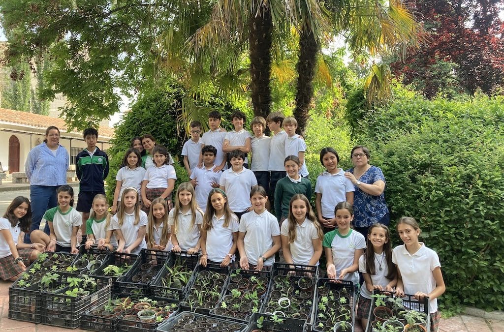 El Colegio Mª Auxiliadora de Majadahonda regala plantas en la Gran Vía para celebrar el Día Mundial del Medio Ambiente 2025