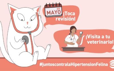 Una campaña de Ceva Salud Animal moviliza sobre la hipertensión felina