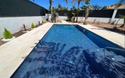 Clorador salino vs Pool Tiger, ¿cuál es la mejor opción para una piscina con menos químicos y más saludable?