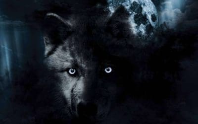 Diego de Membiela presenta ‘LOBO – El solitario de la Montaña Palentina’, una obra inspirada en el lobo ibérico