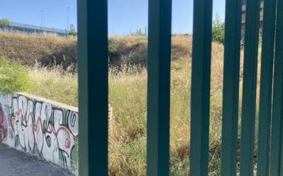 Toda la Oposición respalda pero el PP rechaza la moción de «Vecinos por Majadahonda» que solicita desbrozar y podar las parcelas en verano