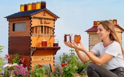Desde Majadahonda: «¿Pueden los humanos vivir como las abejas en una colmena sin Gobiernos, Utopías y Revoluciones?