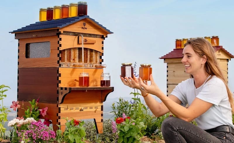 Desde Majadahonda: «¿Pueden los humanos vivir como las abejas en una colmena sin Gobiernos, Utopías y Revoluciones?
