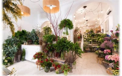 El envío de flores a domicilio gana peso en España con propuestas como la de Vanityflor