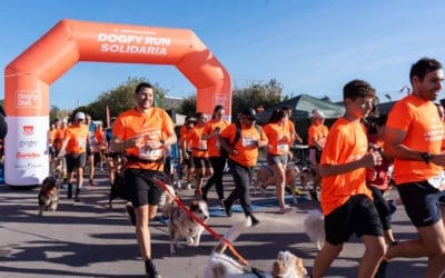Dogfy Diet celebra la II Edición de su carrera solidaria en Barcelona para apoyar a las protectoras