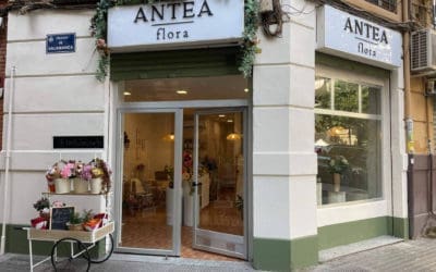 Antea Flora inaugura su nueva floristería en Valencia con servicio a domicilio
