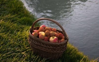 9 hábitos saludables para cuidarte en verano que SÍ funcionan
