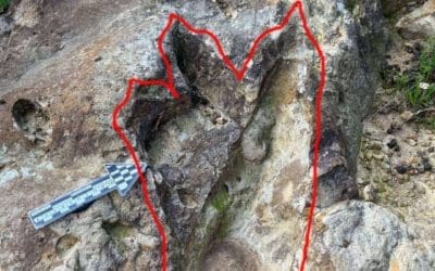 Sorprendente Hallazgo Arqueológico en Jimena de la Frontera Revela Huellas de Dinosaurios y Asentamientos Humanos Milenarios