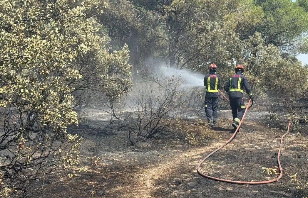 Los incendios llegan a Majadahonda: arden 2.000 metros del Monte del Pilar junto a GREFA y Virgen de Icíar (vídeos y fotos)