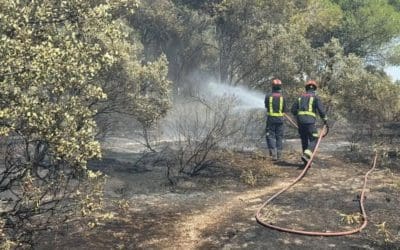 Los incendios llegan a Majadahonda: arden 2.000 metros del Monte del Pilar junto a GREFA y Virgen de Icíar (vídeos y fotos)