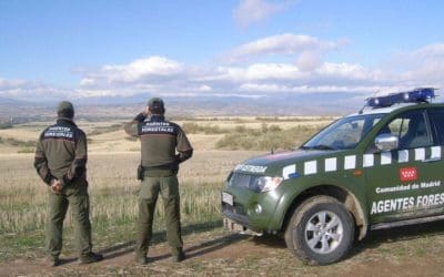 Majadahonda: los agentes forestales fueron convertidos en funcionarios hace 4 años ante el “riesgo extremo de incendios”