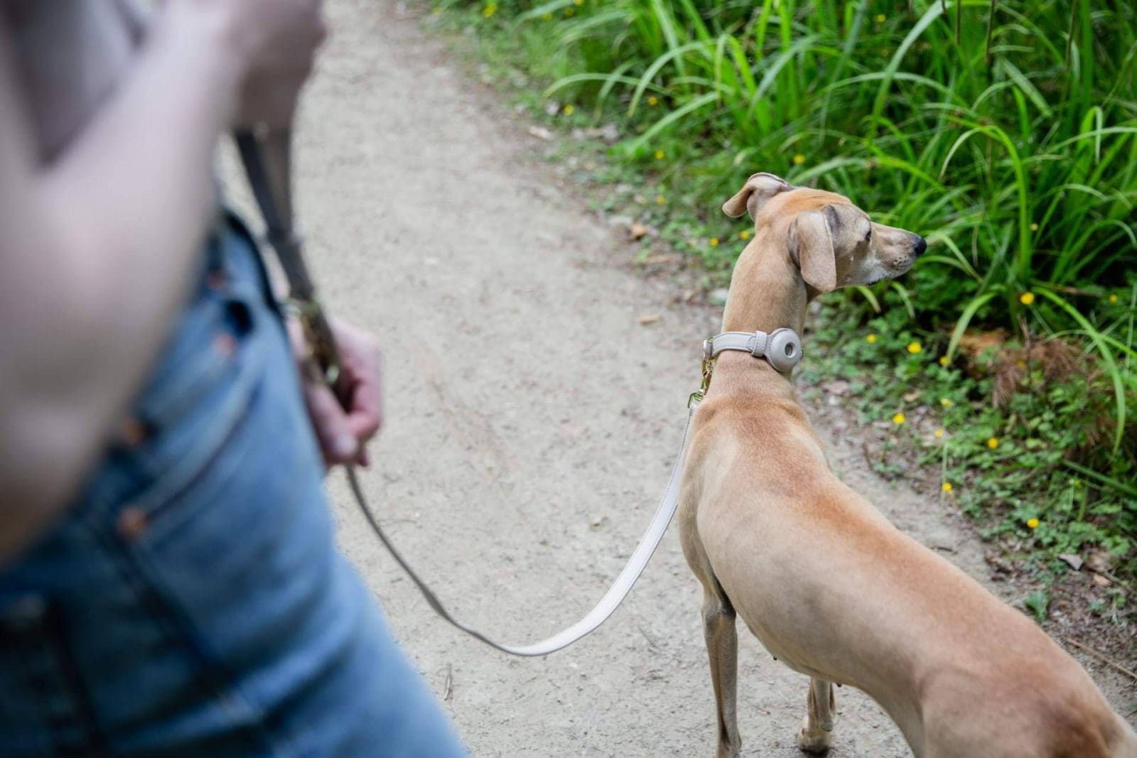Radiografía del ‘pet parenting’ en España; el 49% de los hogares tiene mascota y La Rioja lidera la inversión en bienestar animal